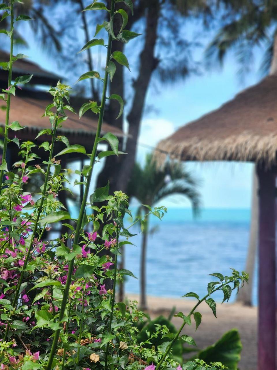 A Little Bungalows By Beach Amphoe Koksamui Buitenkant foto